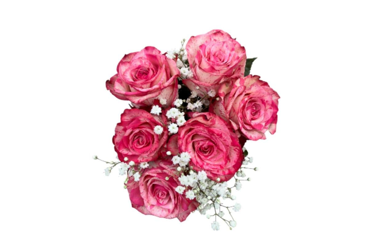'Magic Times' Pink Roses - 6 Stems