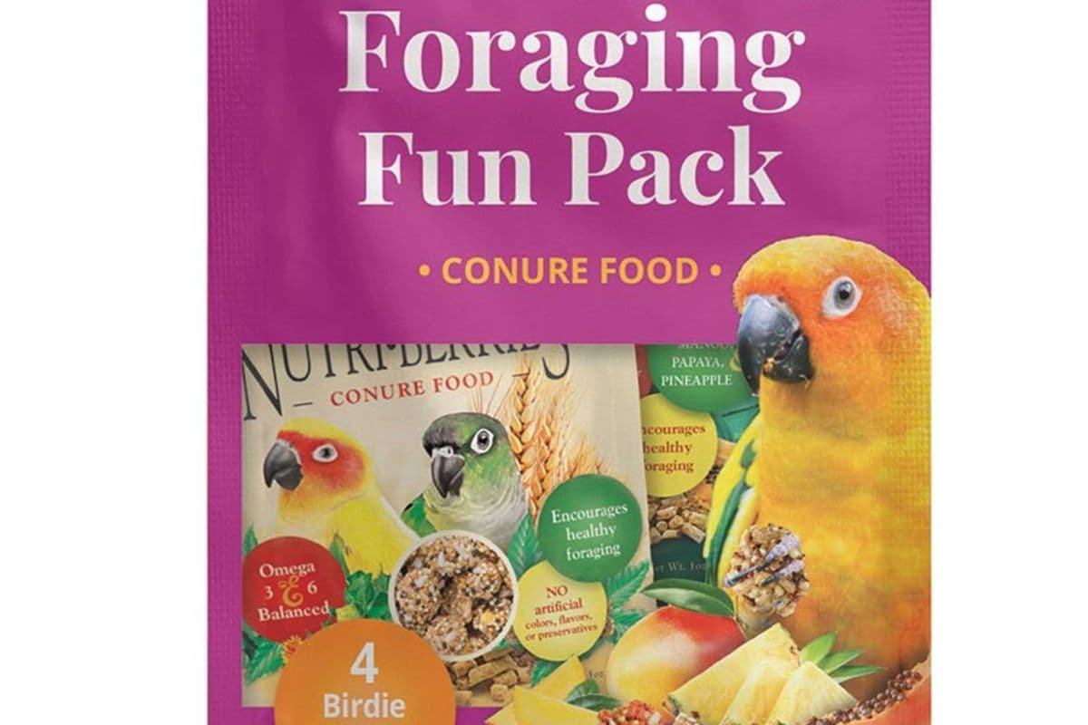 Lafeber's Conure Foraging Fun Pack (142 gr)