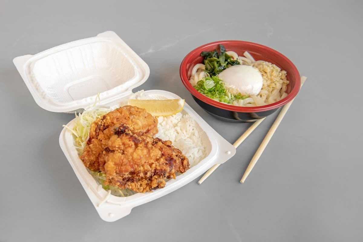 Karaage Bento and Udon