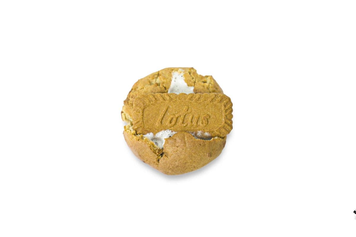 Lotus S'more Cookie