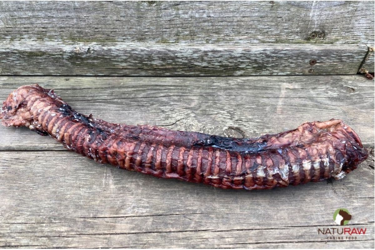 Dehydrated Beef Trachea (1 piece)