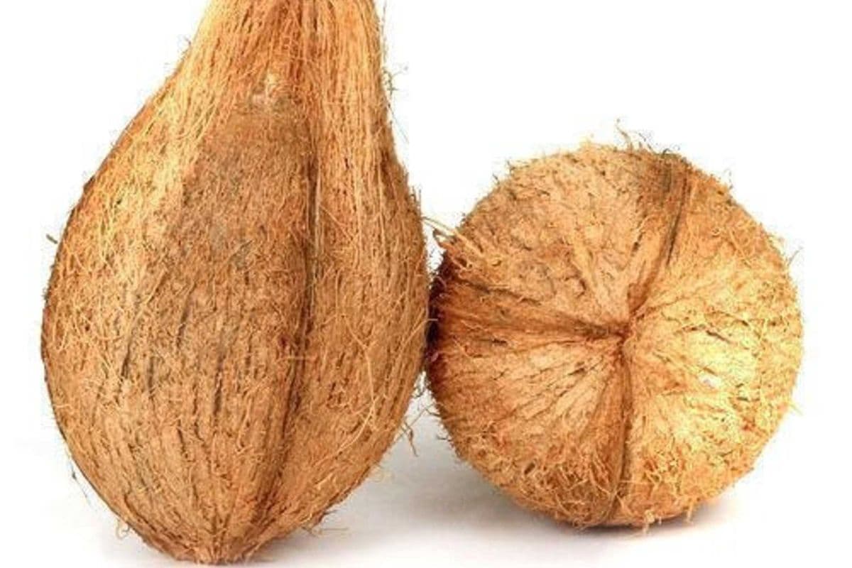 Pooja Coconut (1 ct)
