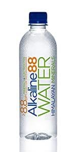 Alkaline88® Water Bottle (500 mL)