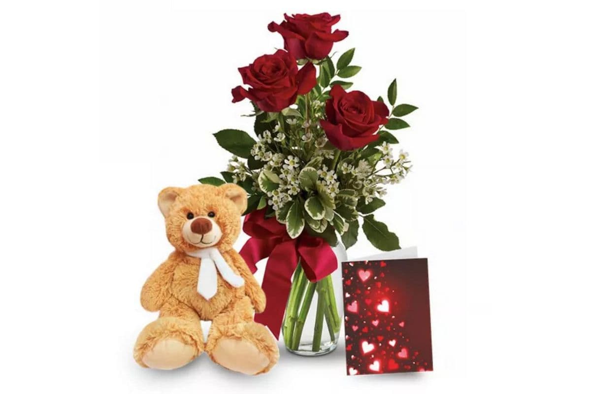 Roses and Teddy Special