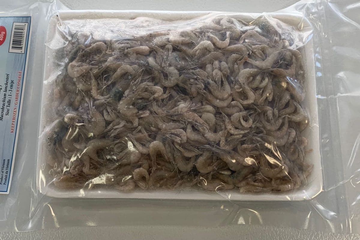 Frozen - Baby Shrimp (400g)