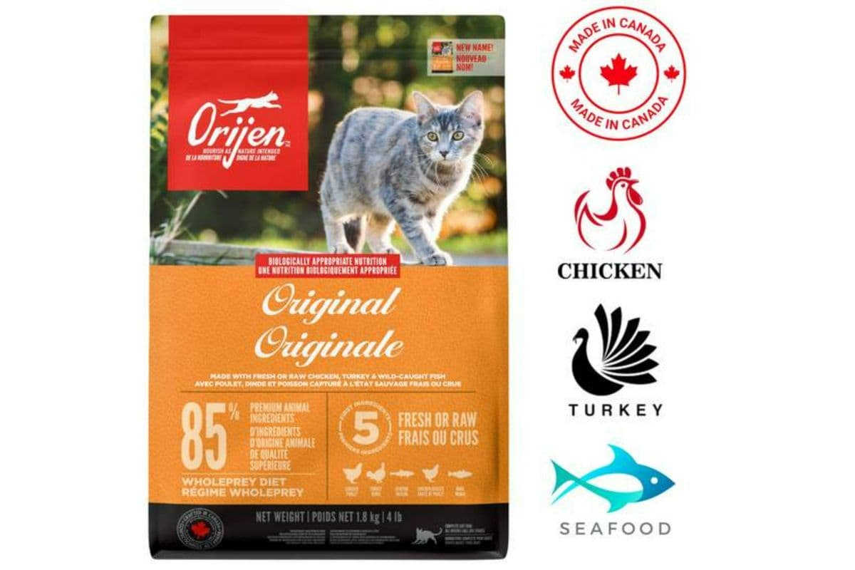 Orijen Original Dry Cat Food (4 lb)