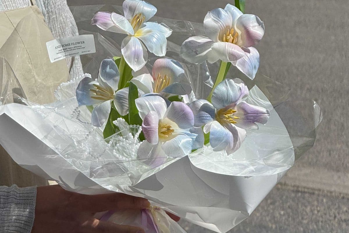Aurora Bouquet (6 Tulips)