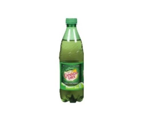 Canada Dry Ginger Ale (500 ml) 1001533