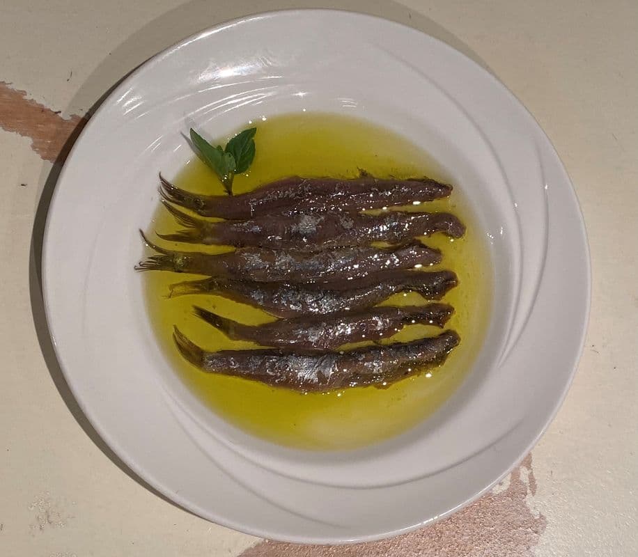 Salted Anchovies From Greece