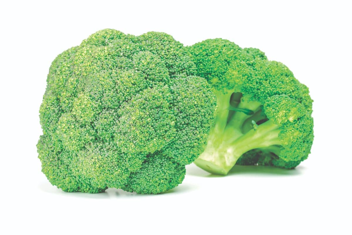 Broccoli Crown