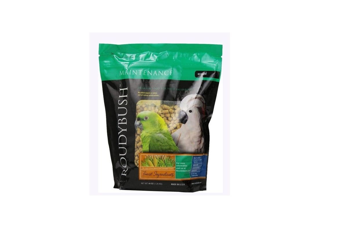 RoudyBush Medium (44 oz)