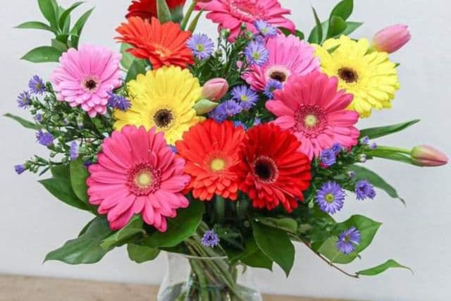 Gerbera Daisy Bouquet