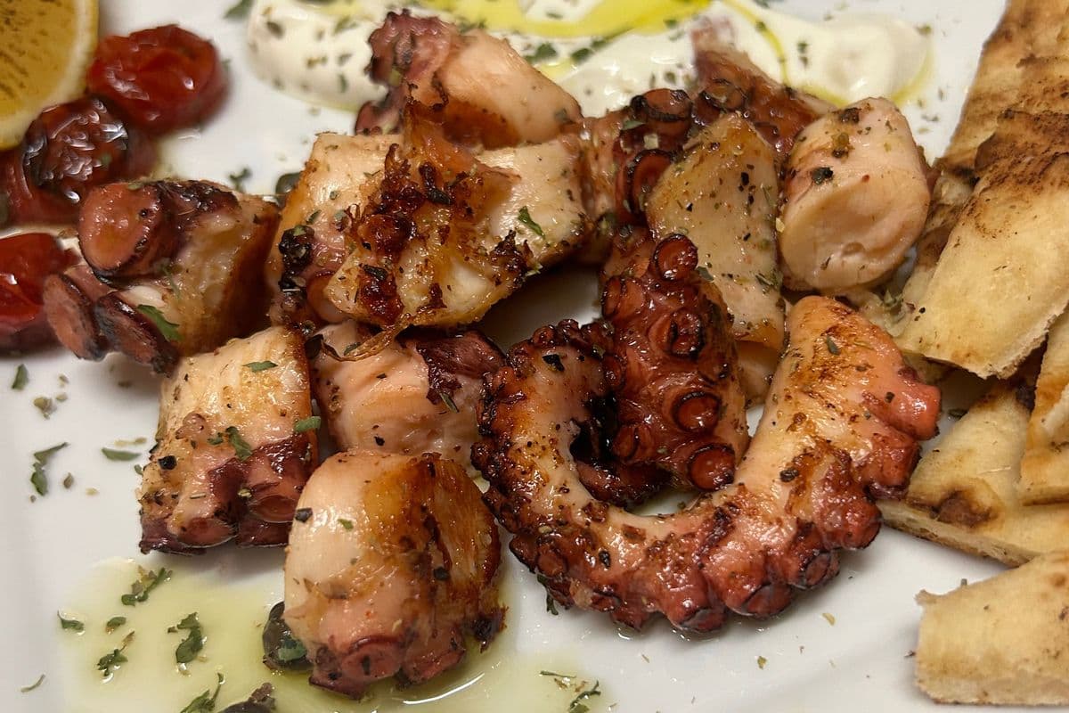 Grilled Octopus