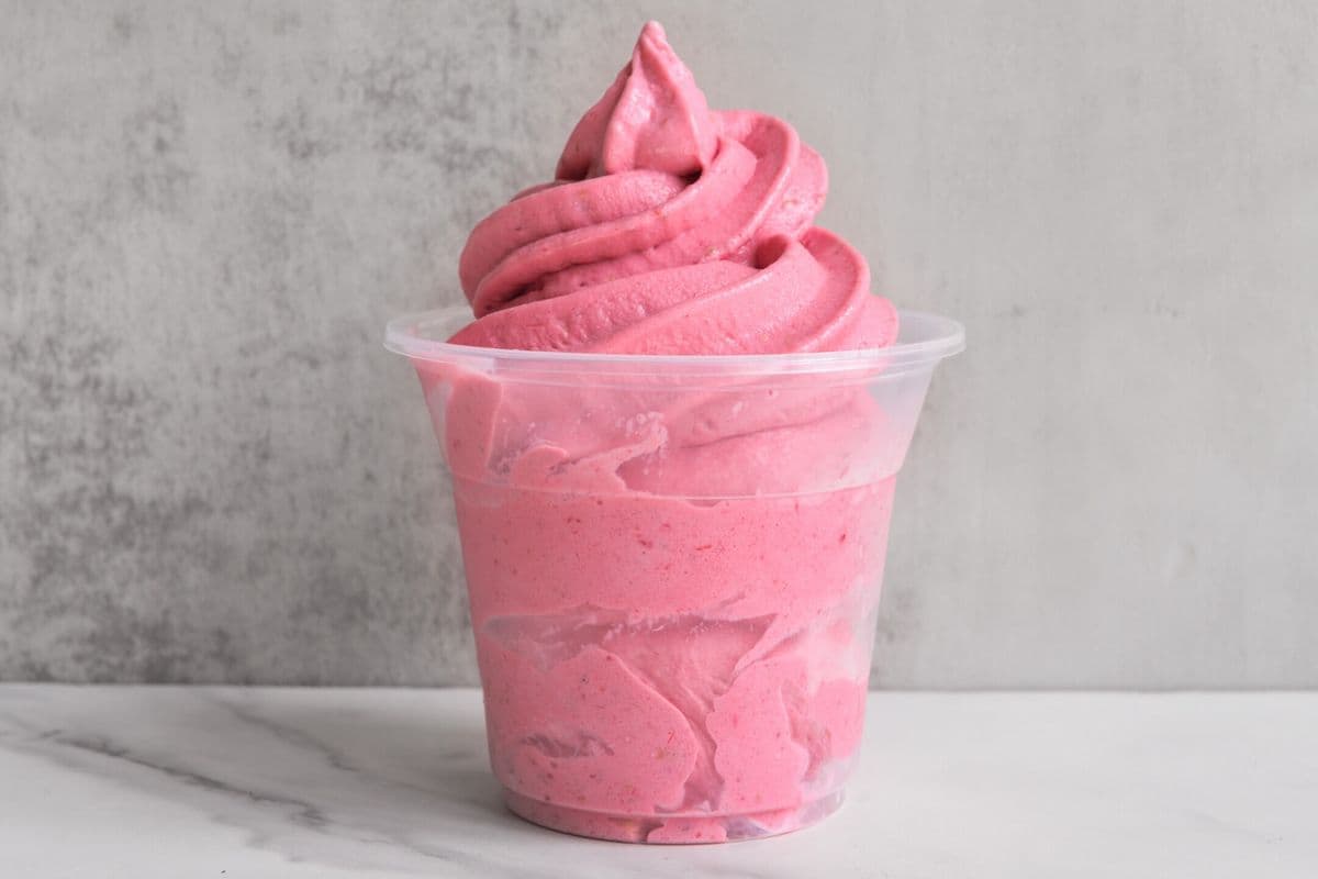 Grand Yogourt glacé