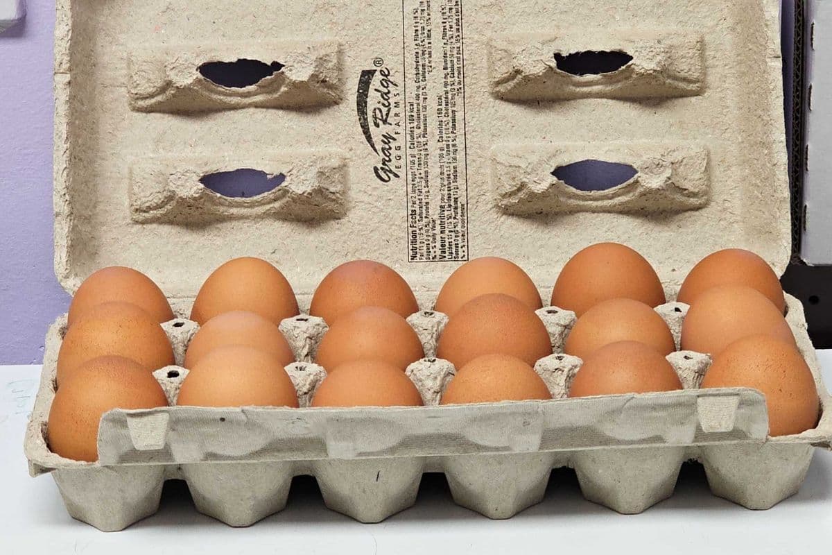18 Large Brown Eggs