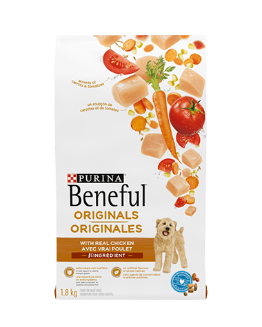 One Lamb & Rice dog food (1.81 Kg)