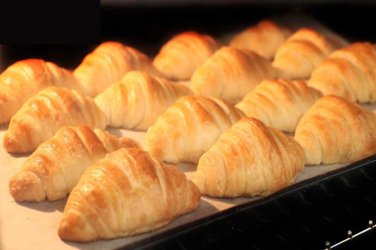 Fresh Baked Croissant