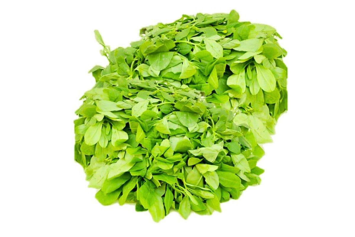 Waterleaf (Frozen)