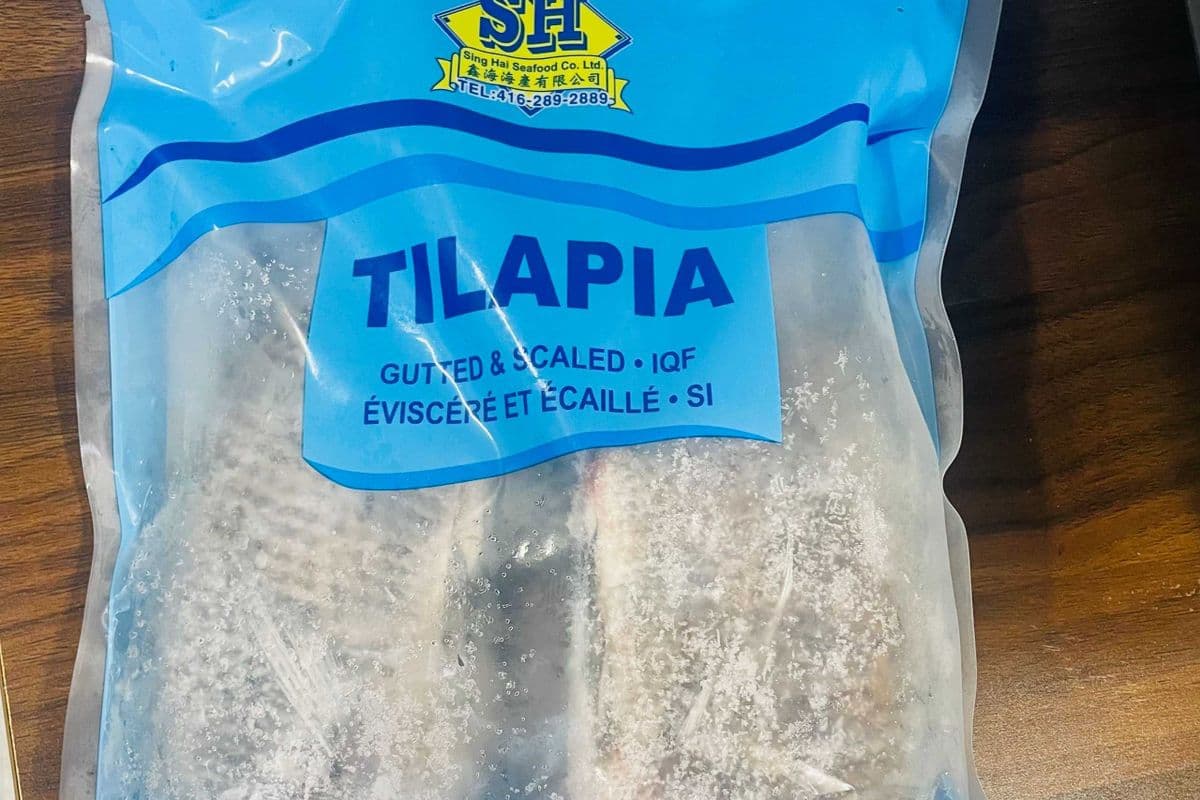Tilapia