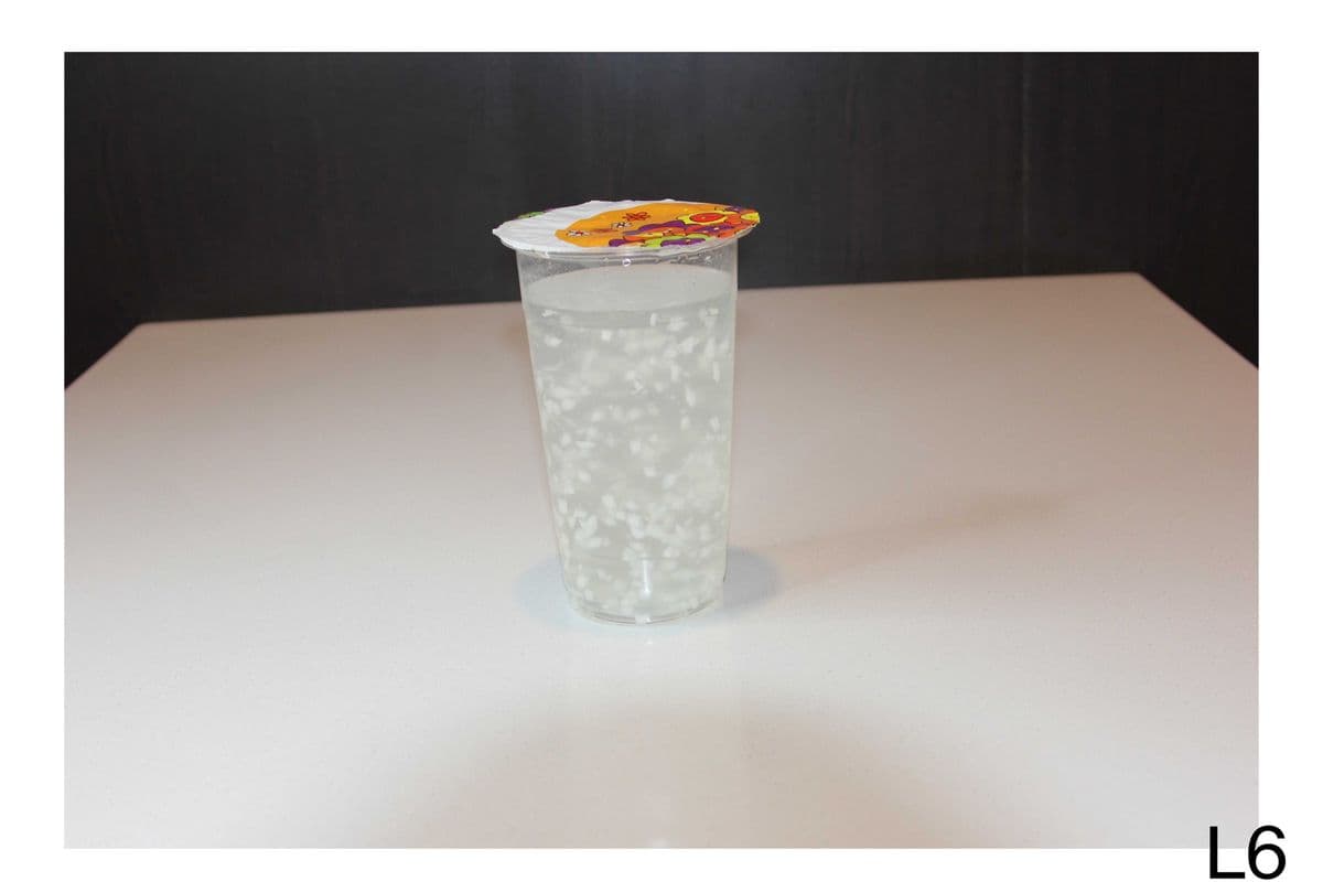 L4. Coconut Juice