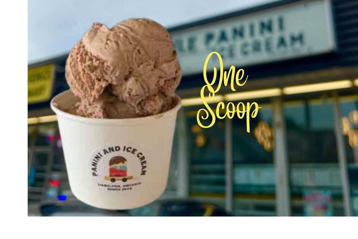Single Scoop (1 scoop)