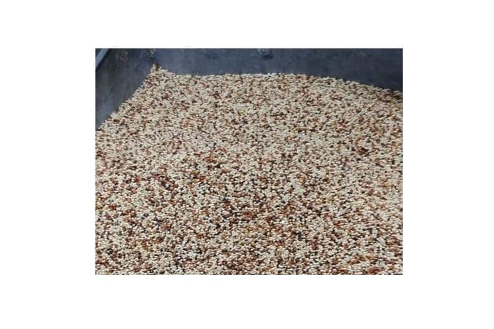 Wild Bird Economy Seed (10 lb)