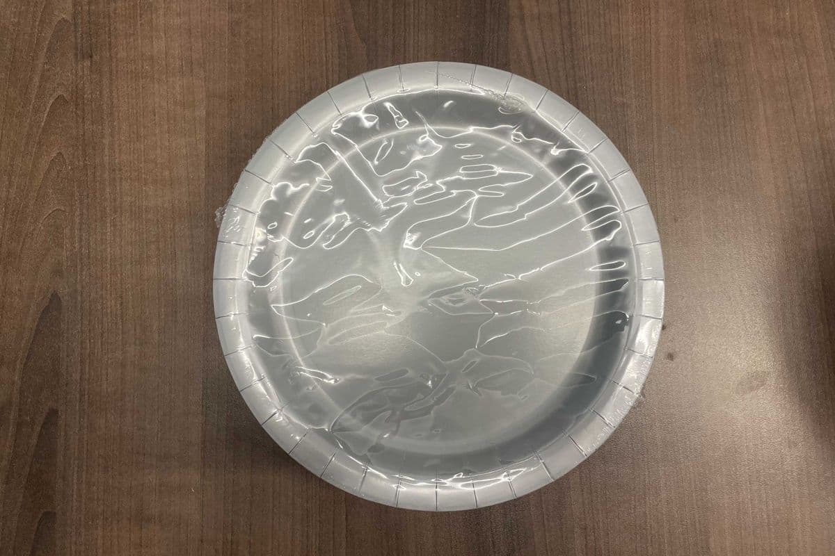 8 Silver 9" Plates (8 Pack)
