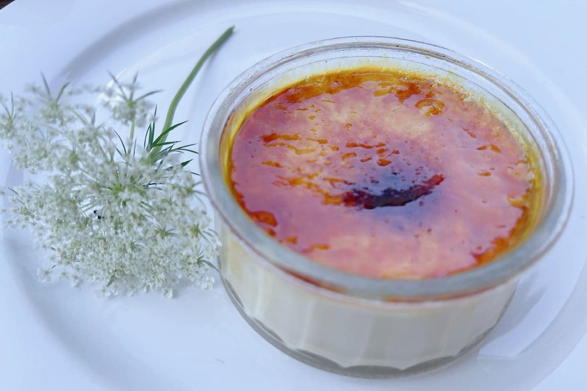 Creme Brulee