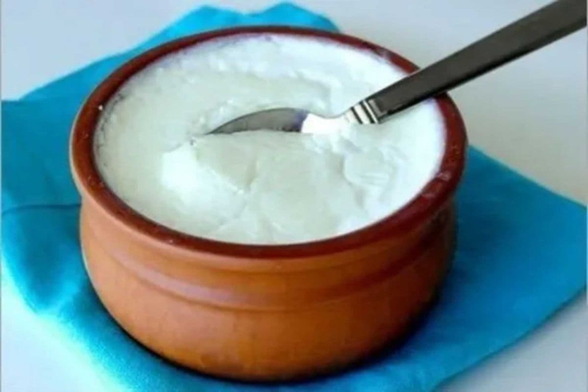 Dahi (Yogurt)