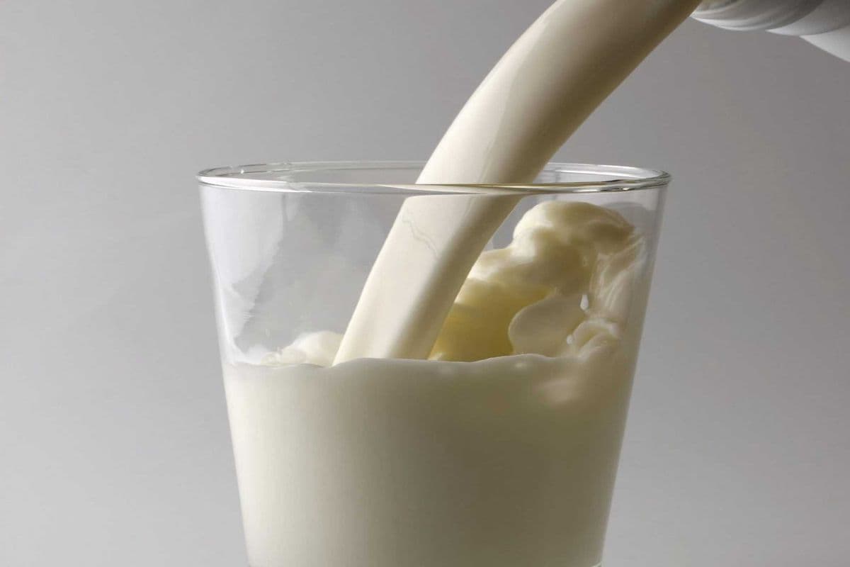 Small Milk