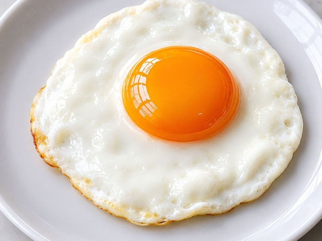 EGGSTRA EGG