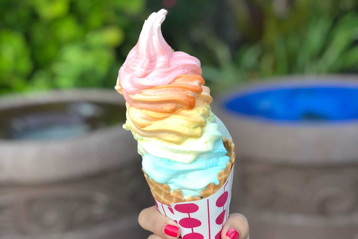 2 Scoops Ice Cream