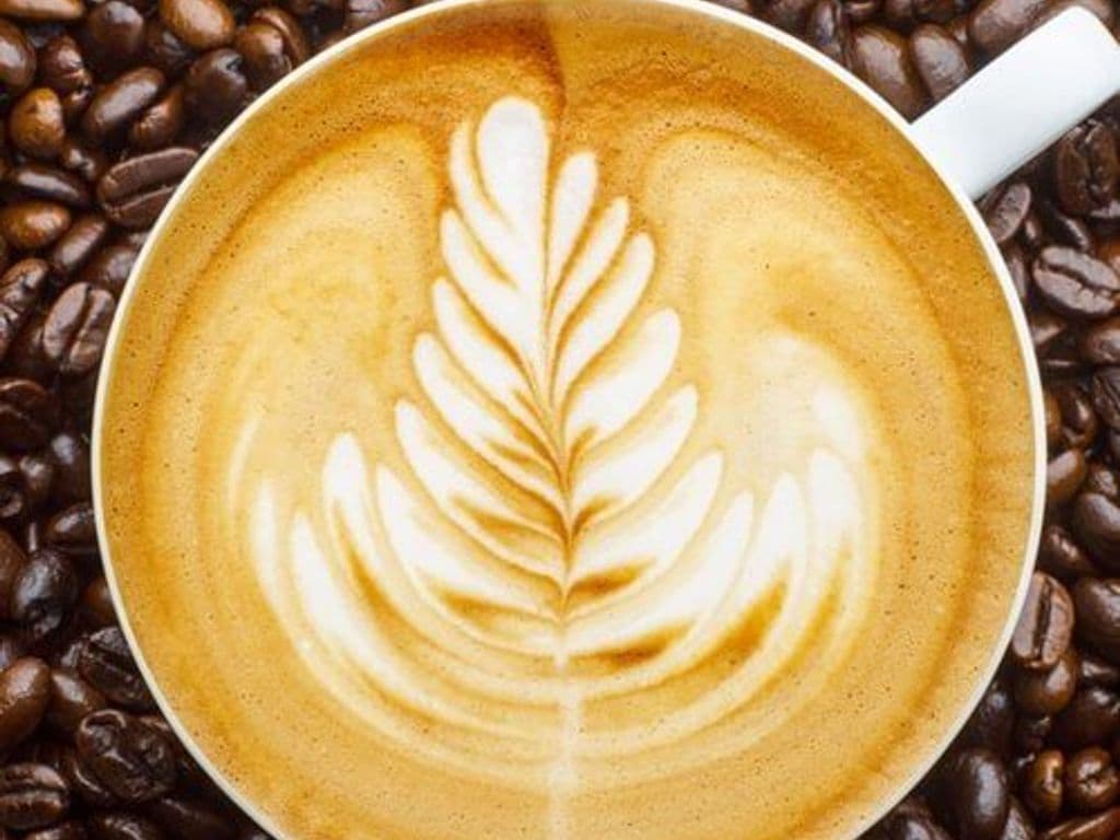 LATTÉ / LATTE