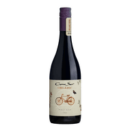 Cono Sur Pinot Noir Organic (1 Bottle x 750 mL)