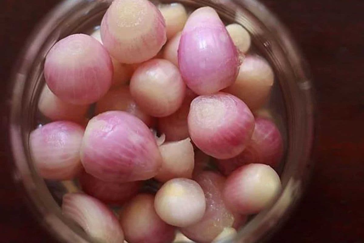 Sirka Onion