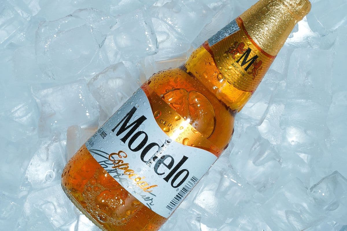 Modelo Especial (1 x 355 ml)