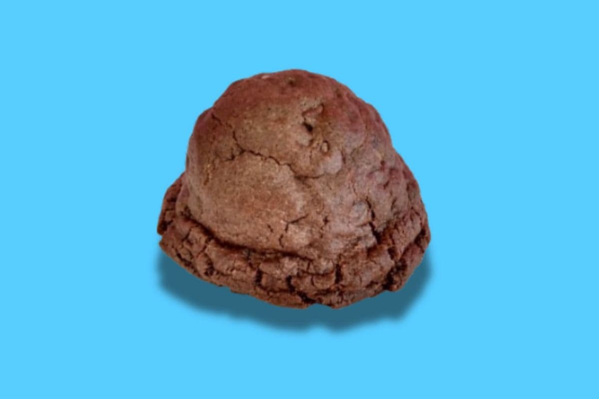 Biscuit double chocolat/Double Chocolate Cookie (130grams)