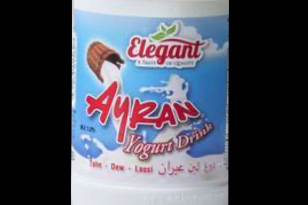 Elegant Ayran (Yogurt Drink)