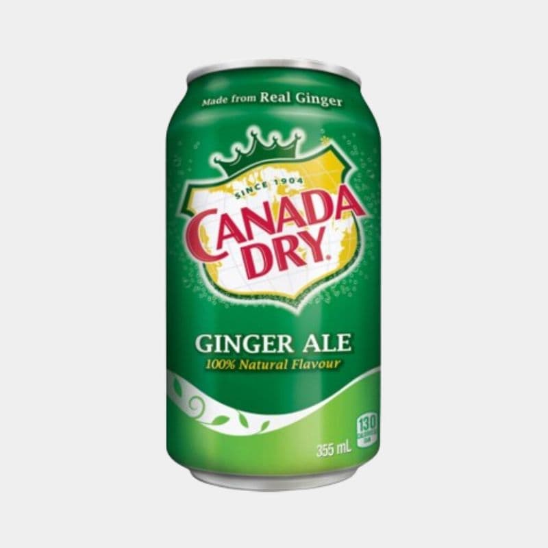 Ginger Ale Can 355ml