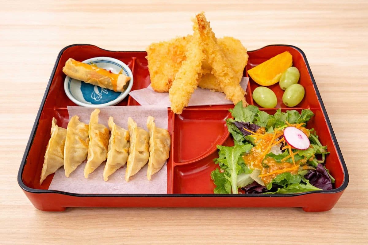 Gyoza Bento