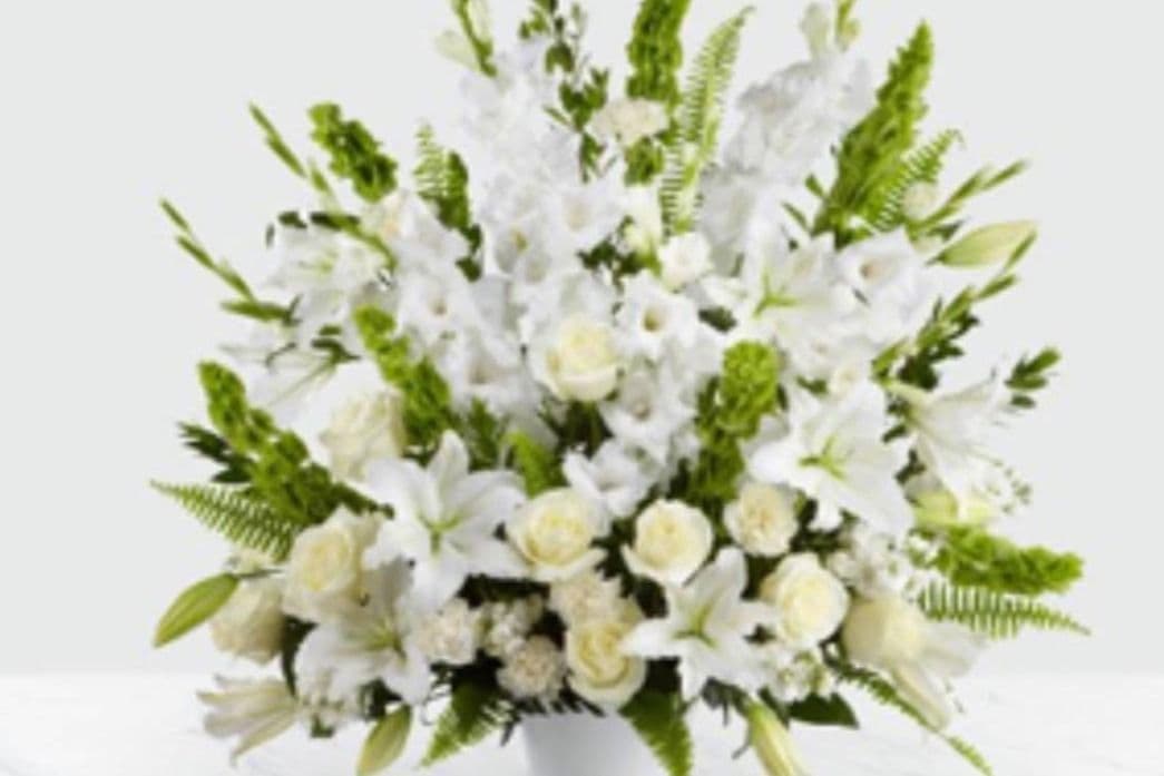 Sympathy Elegance