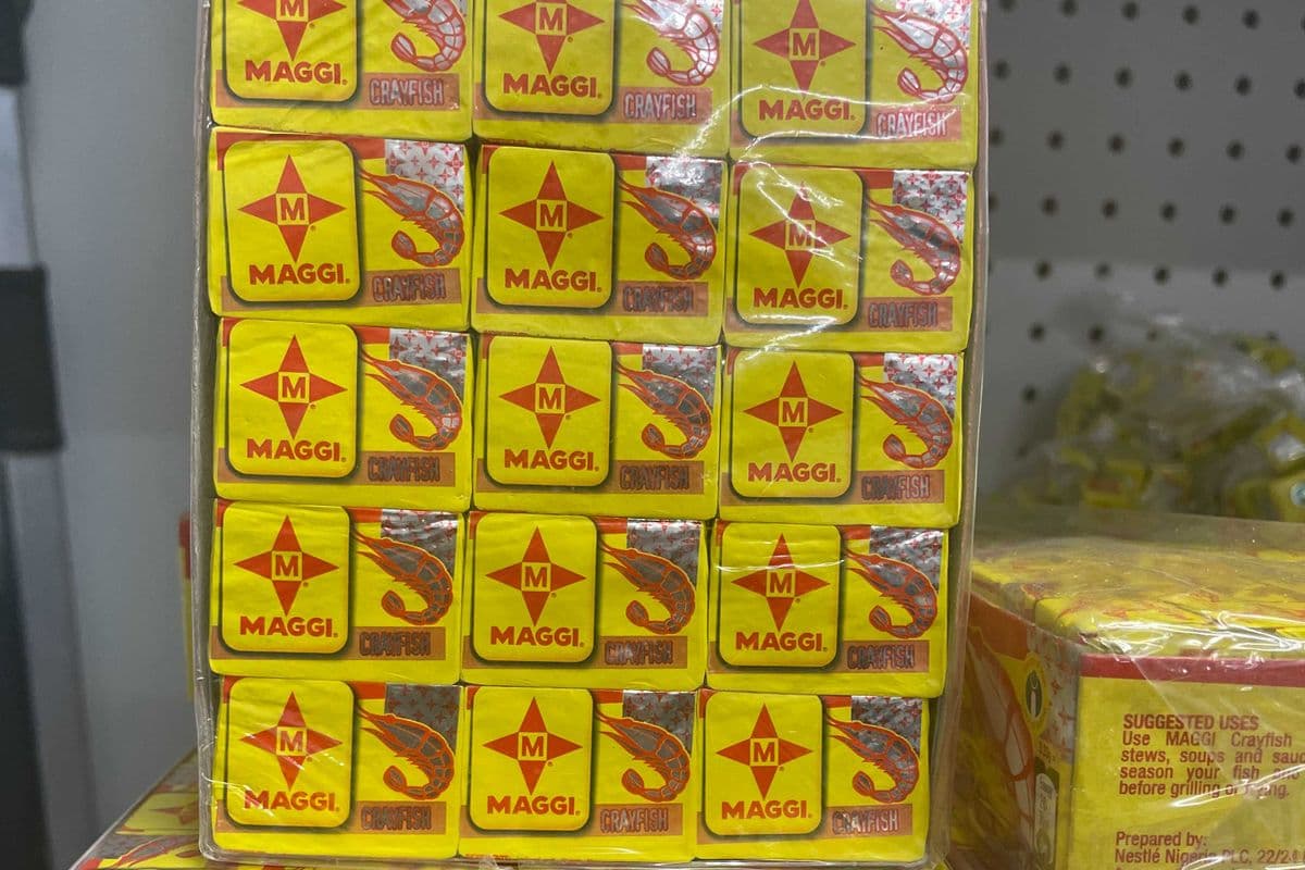 Maggi Star Crayfish