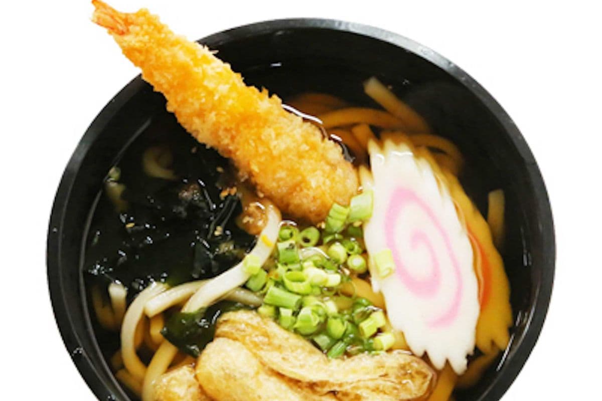Vegetarian Udon Noodle Soup