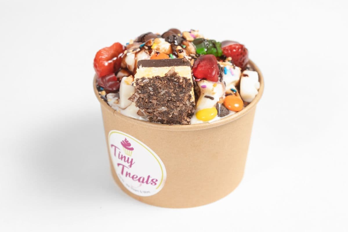 Large Frozen Yogurt Cup (400gm)