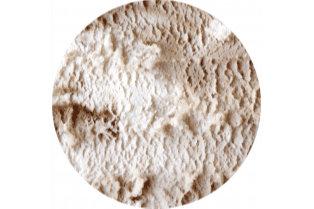 Single Cup - No Sugar Added Caramel Crunch