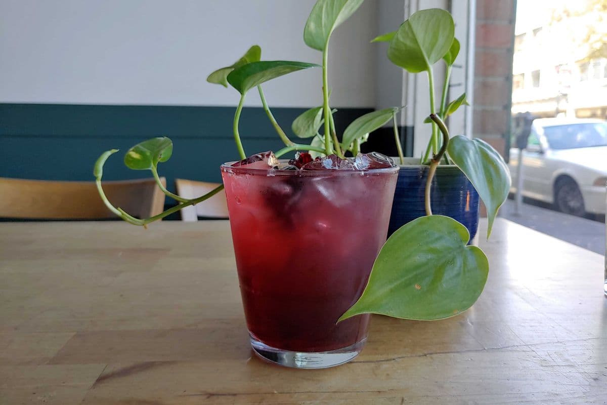 Hibiscus Iced Tea