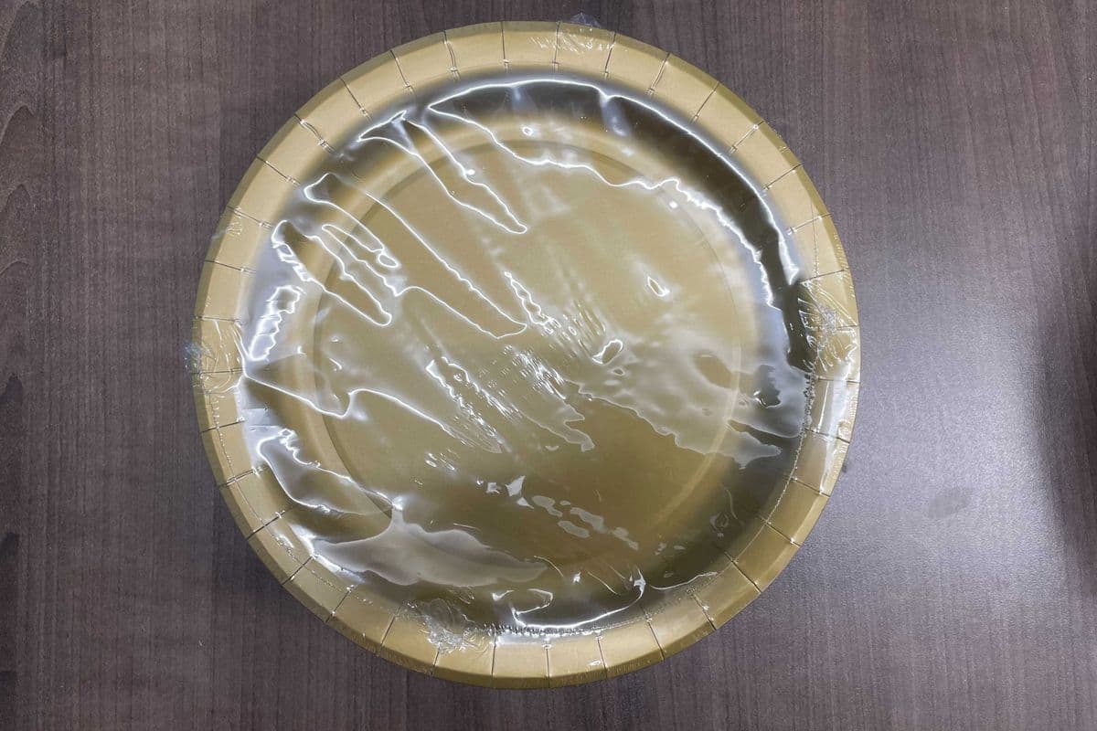 8 Gold 9" Plates (8 Pack)
