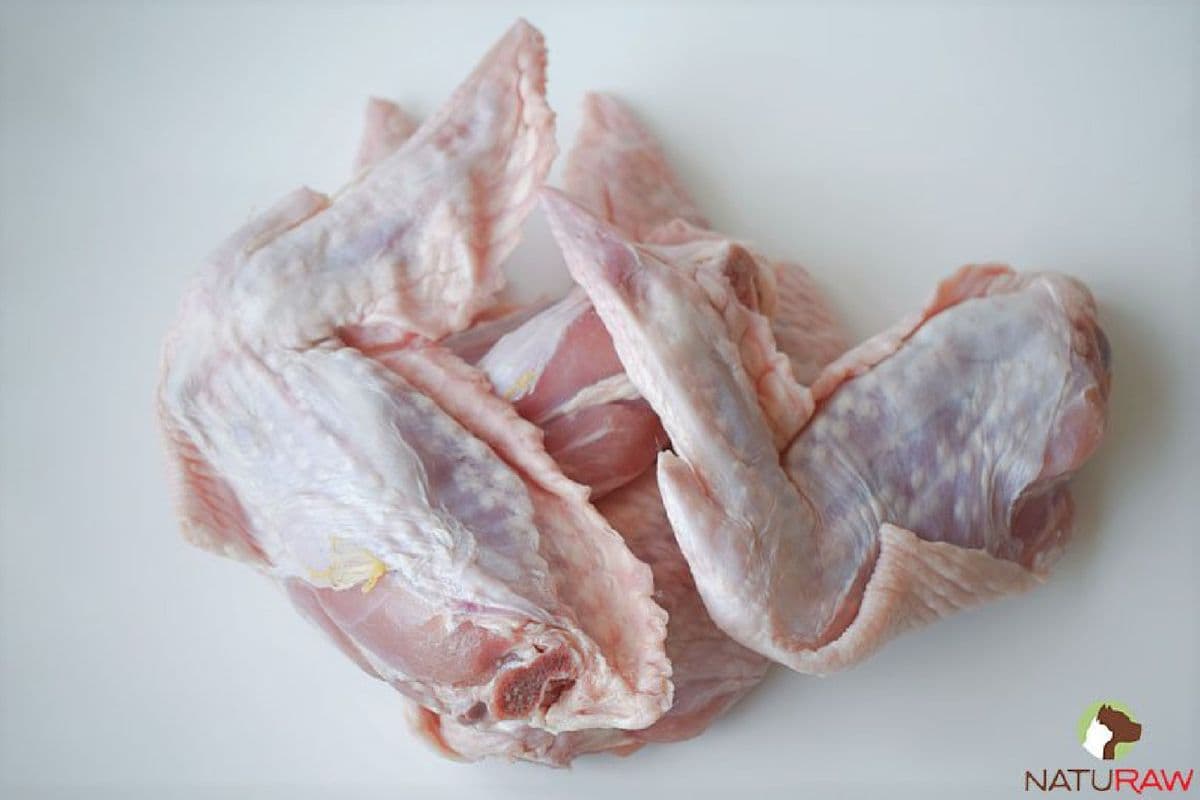 Turkey Wings (Pack of 2)
