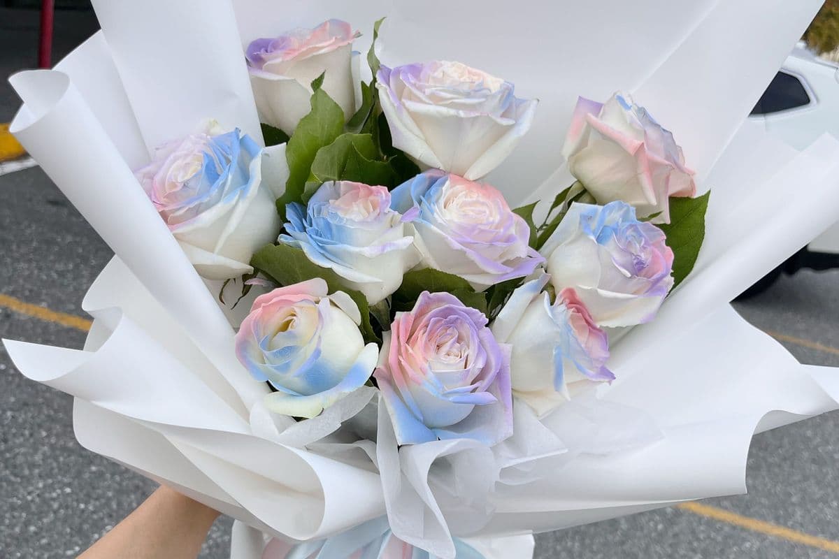 10 Fresh Roses 独角兽花束