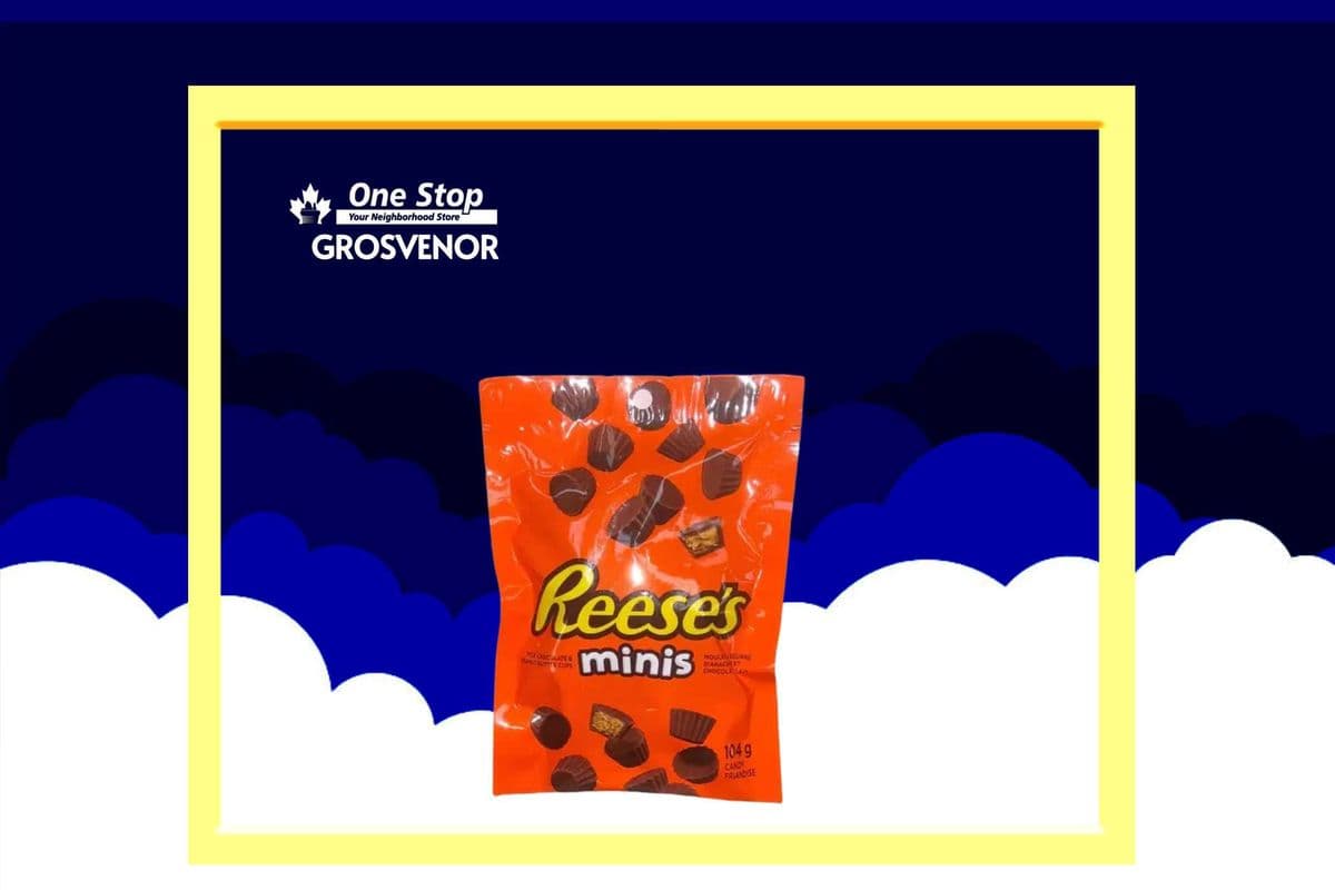 Reese`s Minis (104g)